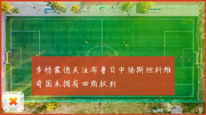 多特蒙德关注布鲁日中场斯坦科维奇国米拥有回购权利