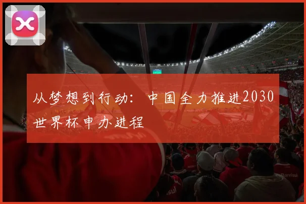 从梦想到行动：中国全力推进2030世界杯申办进程