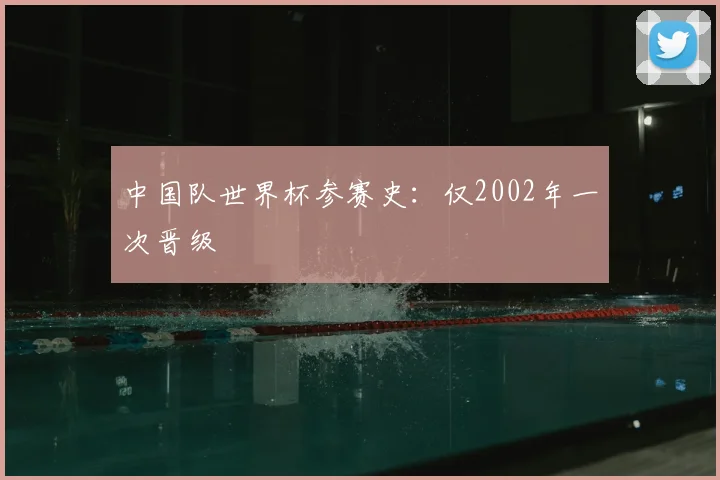 中国队世界杯参赛史:仅2002年一次晋级