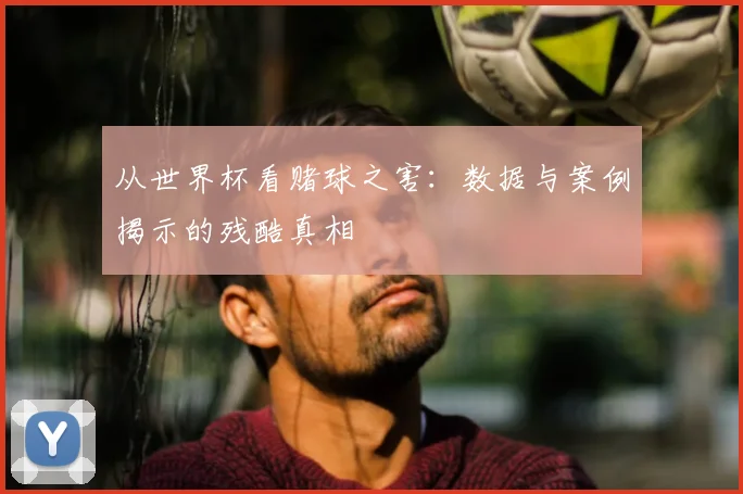 从世界杯看赌球之害：数据与案例揭示的残酷真相
