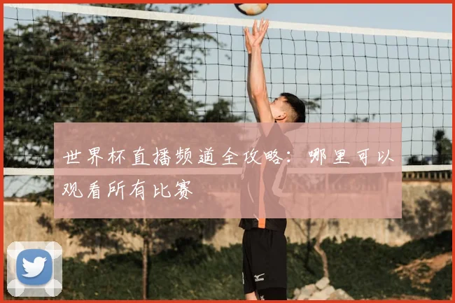 世界杯直播频道全攻略：哪里可以观看所有比赛