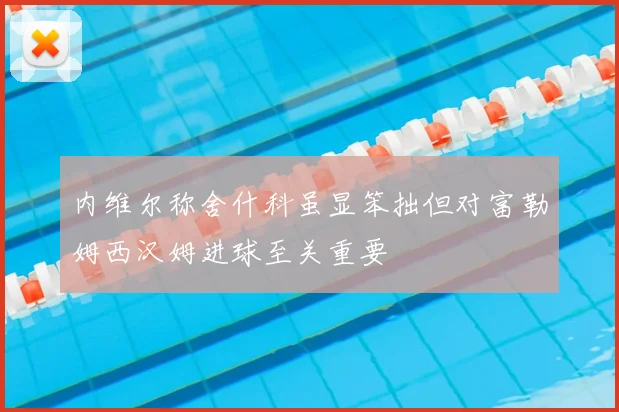 内维尔称舍什科虽显笨拙但对富勒姆西汉姆进球至关重要