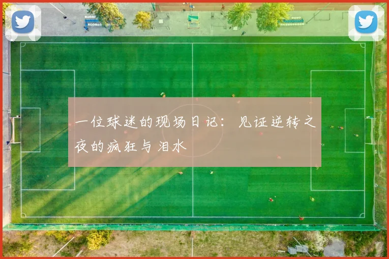 一位球迷的现场日记:见证逆转之夜的疯狂与泪水