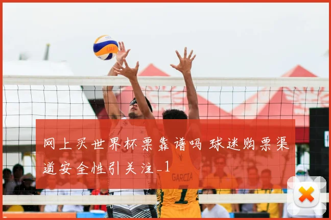 网上买世界杯票靠谱吗 球迷购票渠道安全性引关注_1